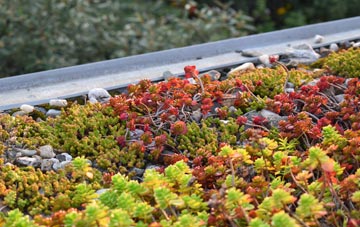 the cost of Shortgate green roof installation
