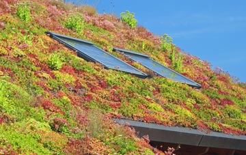 Shortgate living roof systems